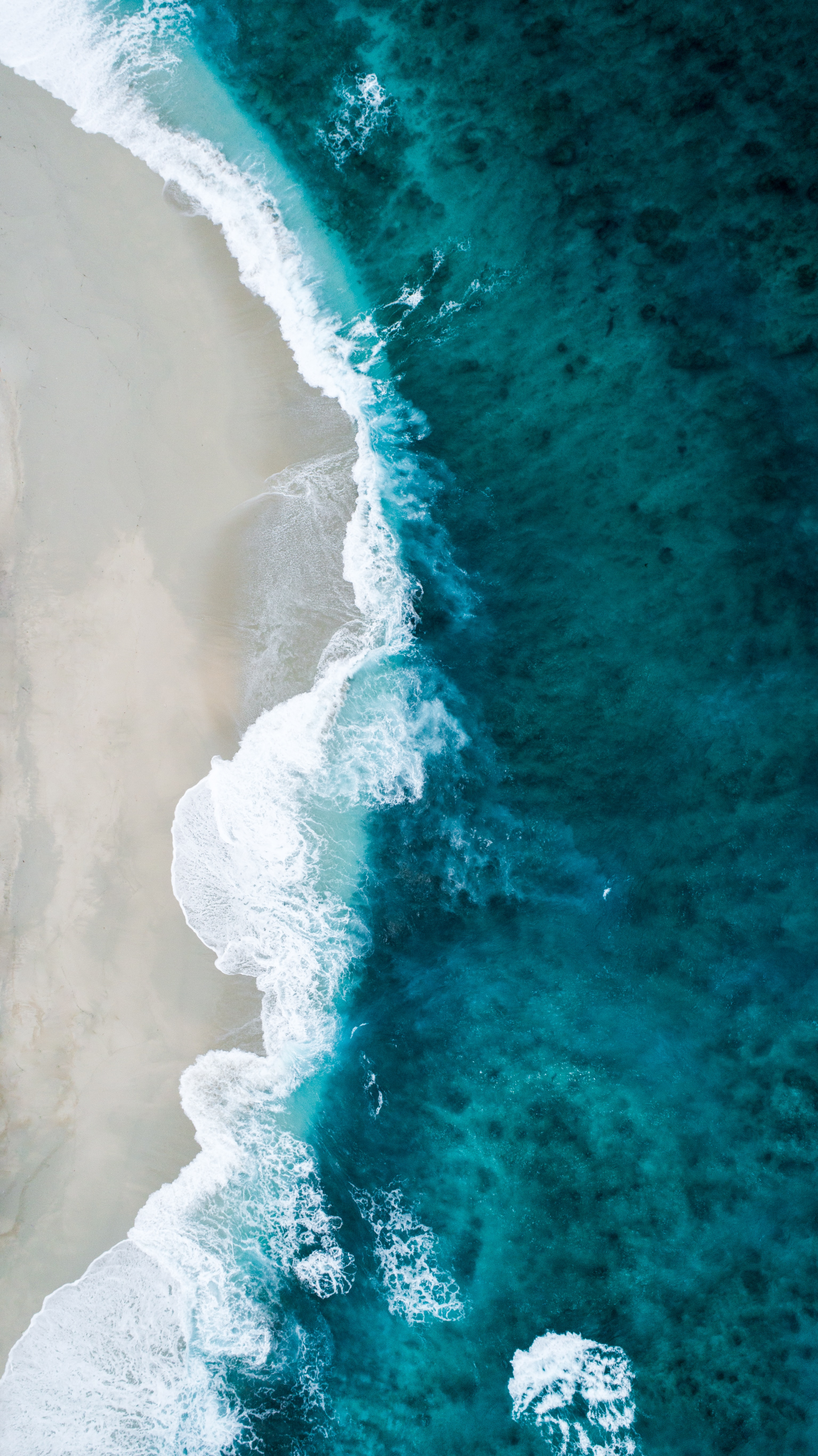 seashore